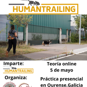 CURSO. Terapia Masticatoria. (copia)